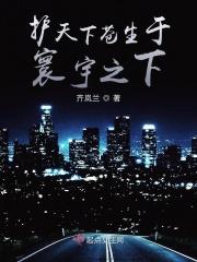 护天下苍生于寰宇之下