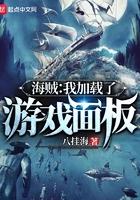 海贼:我加载了游戏面板